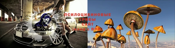 хмурый Алзамай
