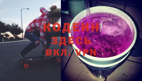 хмурый Алзамай